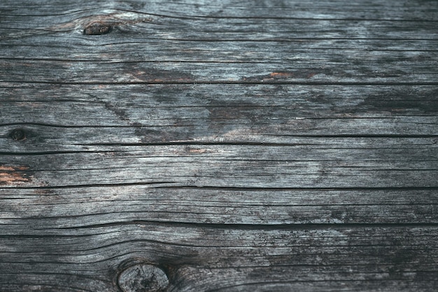 Texture du bois ou fond de bois