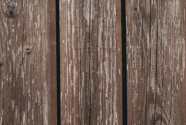 Texture du bois ou fond de bois