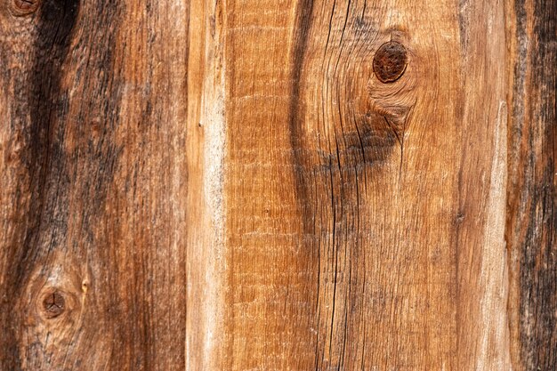 Texture du bois Fond de texture gros plan d'arbre Plancher ou table ou mur en bois avec un motif naturel