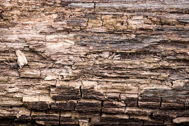 Texture Du Bois. Fond Vieux Panneaux