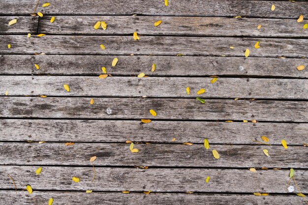 Texture du bois avec quelques imperfections et rainures Planches de bois rustiques Quelques feuilles sur le dessus Vue de dessus