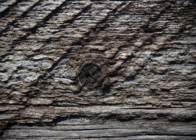 texture du bois, texture du très vieux bois fissuré