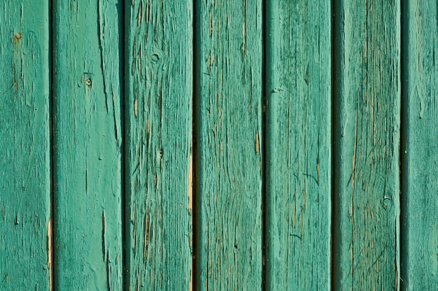 Texture du bois vert