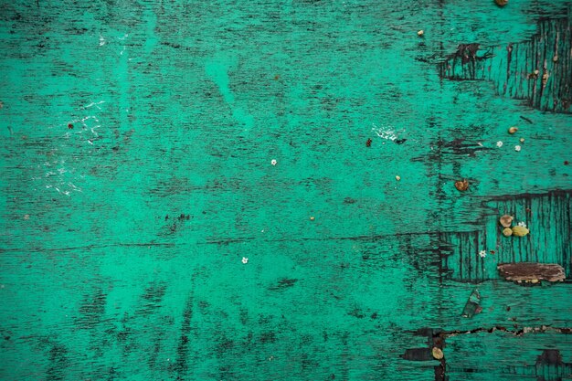 texture du bois vert