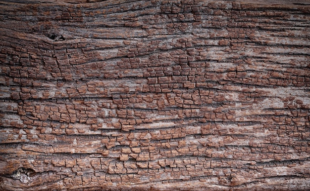 Texture du bois vieux et ont rugueux.