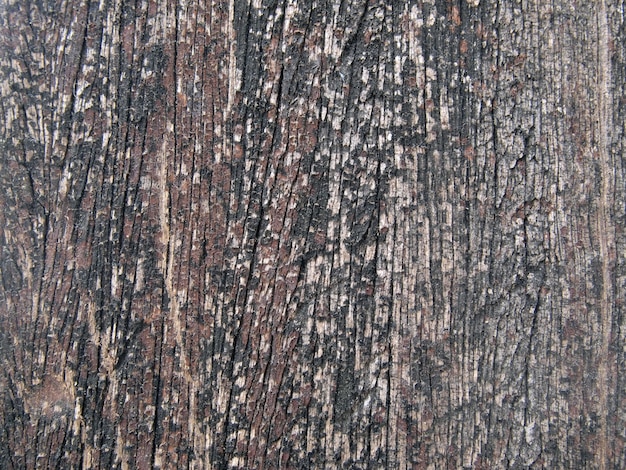 Texture du bois