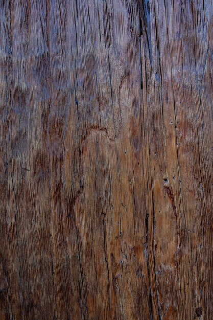 Texture du bois