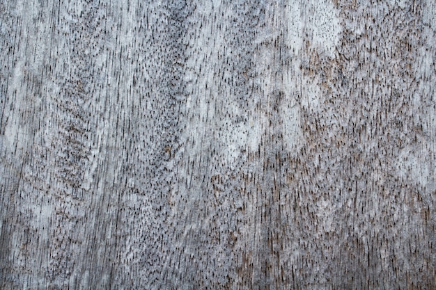 Texture du bois