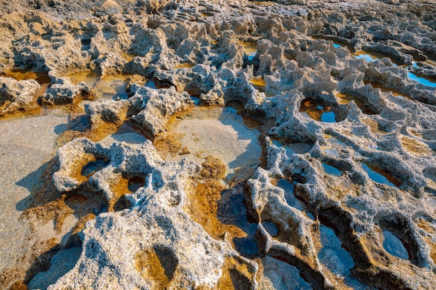 La texture du bord de mer pierreux