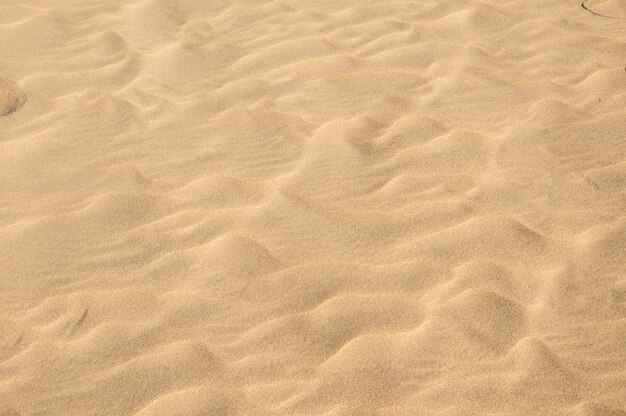 Texture du désert de dunes de sable