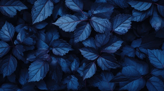 Texture du feuillage à motif bleu foncé