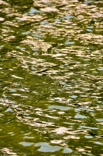 Photo texture du modèle d'eau