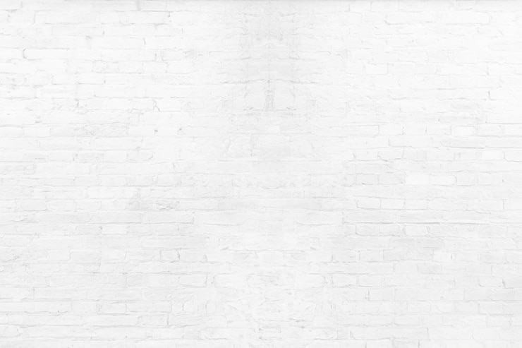 Photo texture du mur en briques blanches