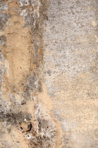 texture du mur de pierre