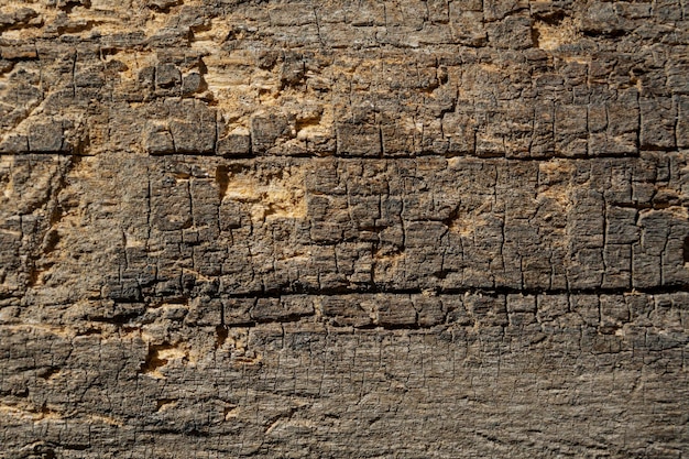 Texture du panneau de bois