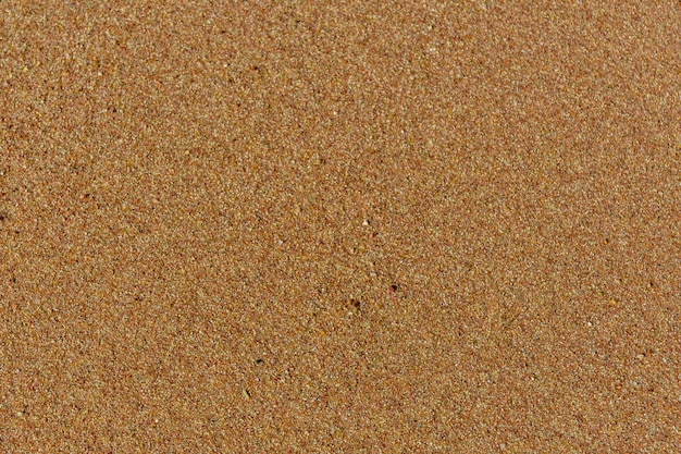 Texture du sable humide pour le fond