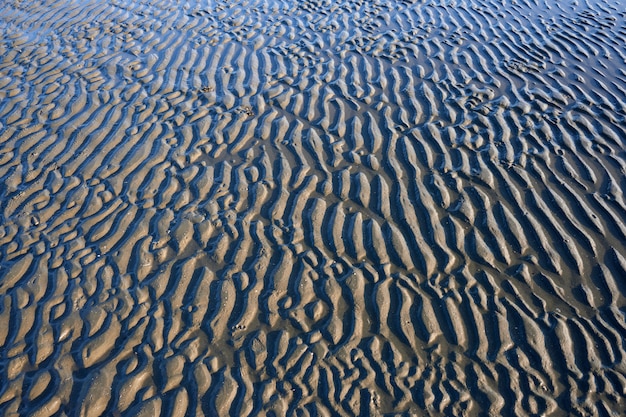 Texture du sable mouillé sur une plage à marée basse.