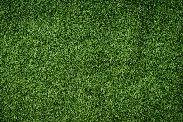 Texture du sol d'herbe verte