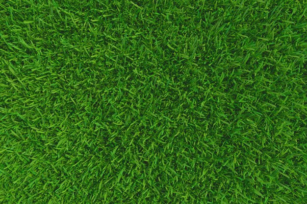 Texture du sol d'herbe verte