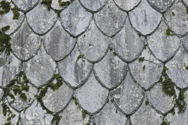 Texture du toit de schiste en Norvège