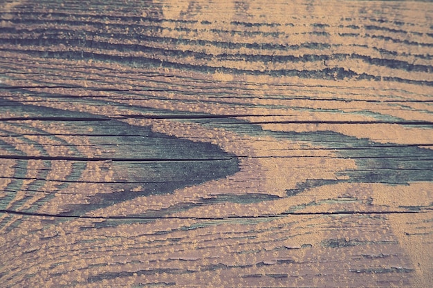Texture du vieux bois Gros plan de la souche Fissures profondes dans la surface en bois Passages d'insectes État minable des structures en bois Effet du vent et de l'eau sur le bois