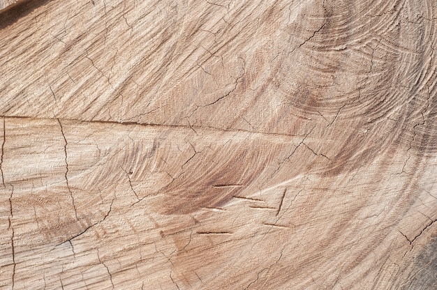 Texture du vieux bois pour le fond