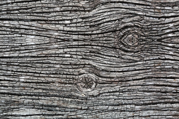 Texture du vieux bois