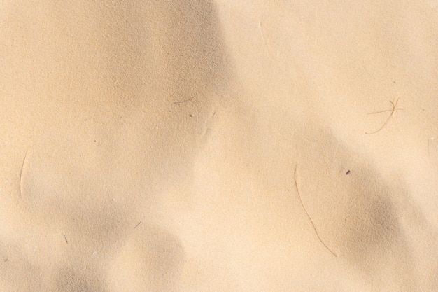 Texture de dune de sable nature comme arrière-plan