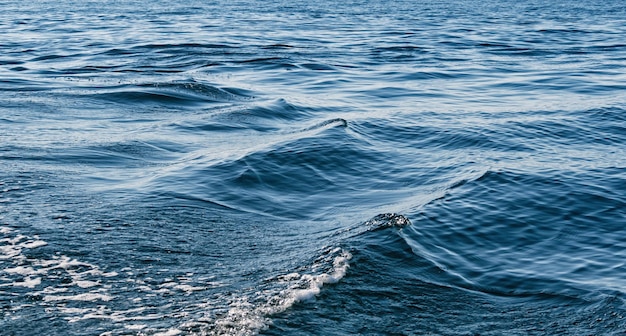 Texture de l'eau ridée de mer ou de lac Fond naturel