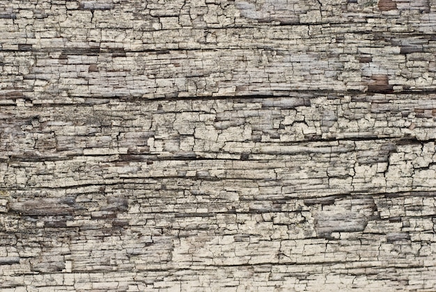 Texture d'écorce, bois dur sec gris bouchent