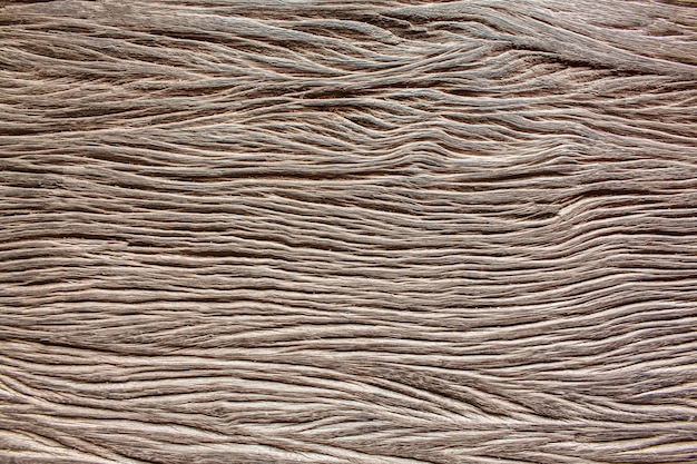 Texture de l&#39;écorce de surface se bouchent