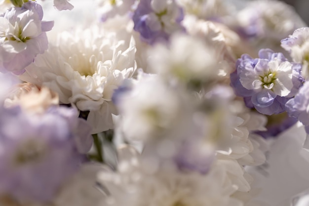 Texture de fleurs blanches et violettes