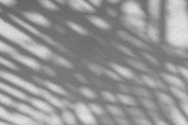 Texture de fond abstrait noir et blanc de feuille d'ombres sur un mur de béton.