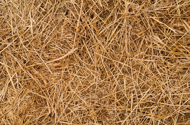 Texture de fond de balle de foin, herbe sèche brune.