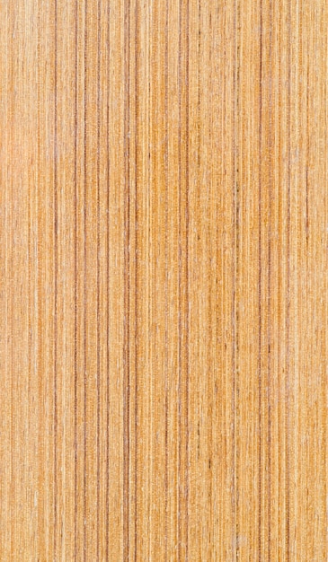 Texture de fond bois closeup