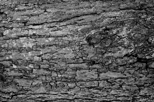 texture de fond bois, résumé, fond de nature