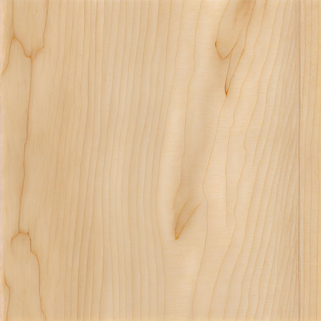 Texture de fond en bois