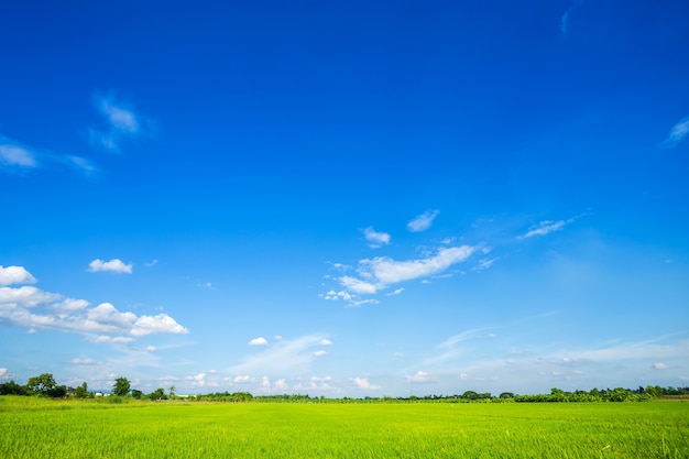 Texture de fond de ciel bleu avec des nuages ​​blancs.