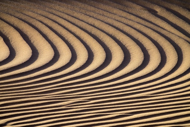 Texture de fond des dunes de sable