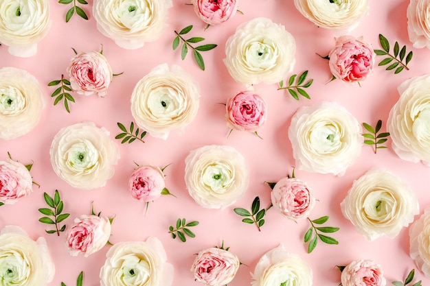 Texture de fond floral faite de renoncules roses et de boutons de fleurs roses sur fond rose Télévision la