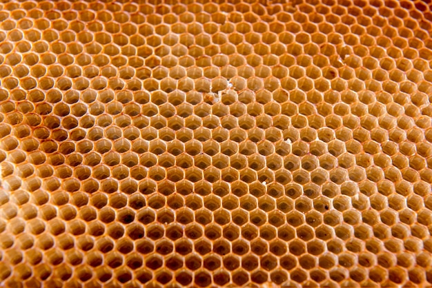 Texture de fond en nid d'abeille faite par les abeilles.