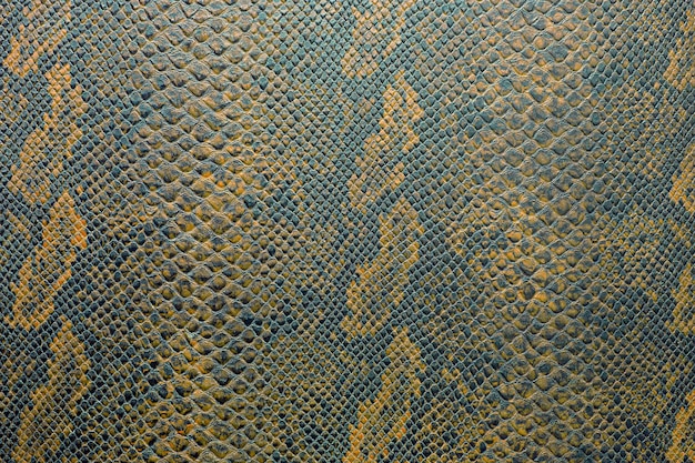 Texture de fond de peau de serpent en couleur vibrante