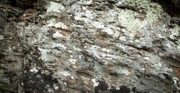 Texture ou fond de pierre Matériau naturel
