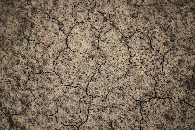 Texture de fond de sol fissuré à sec Mise au point sélective