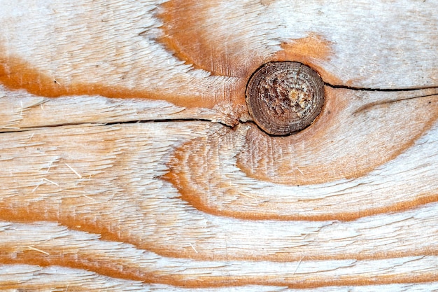 Texture de fond. La surface de la planche bordée avec un nœud sur la coupe. La texture de l'arbre.