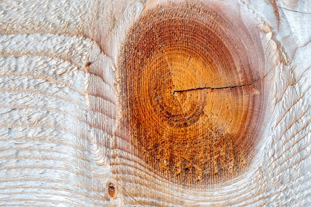 Texture de fond. La surface de la planche bordée avec un nœud sur la coupe. La texture de l'arbre.