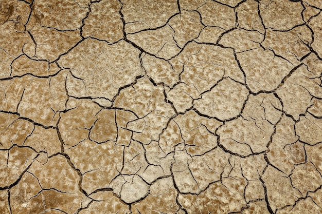 Texture de fond de terre fissurée