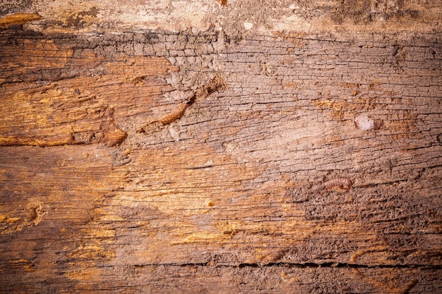 Texture de fond vieille planche de bois marron.