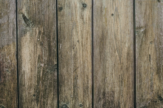 Texture et fond, vieille porte en bois rayée