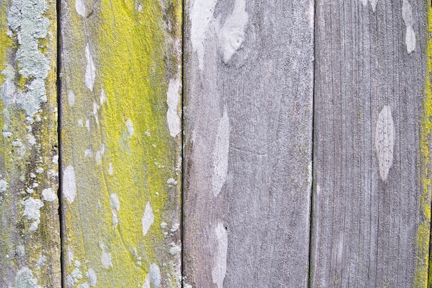 Texture de fond de vieux bois avec de la mousse verte